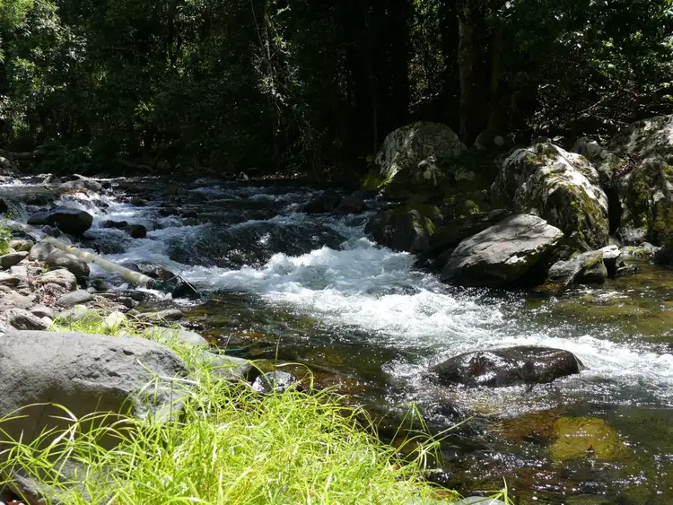 Sixth view of Homely rural property listing, 66 Papacek Access, Little Mulgrave QLD 4865