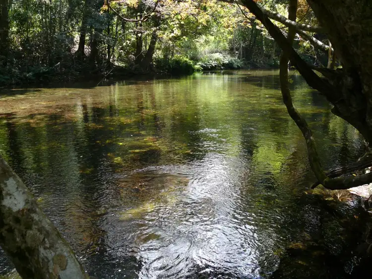 Seventh view of Homely rural property listing, 66 Papacek Access, Little Mulgrave QLD 4865