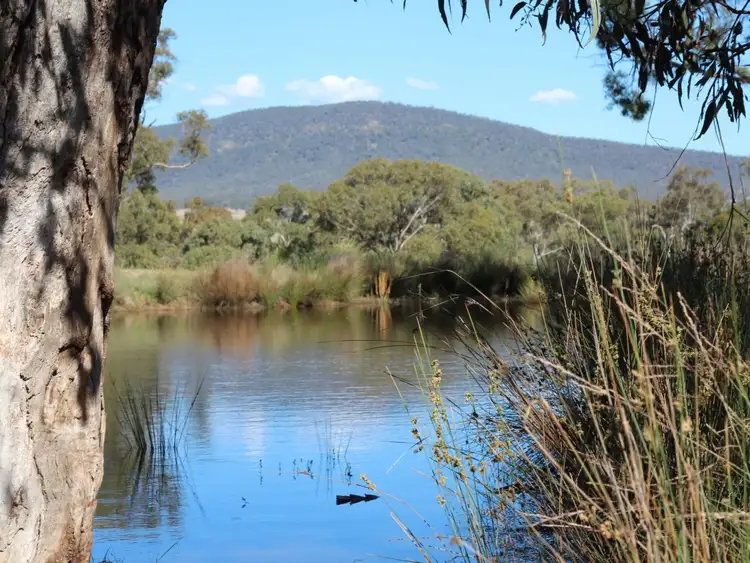 Third view of Homely land listing, 1021 Jerangle Road, Bredbo NSW 2626