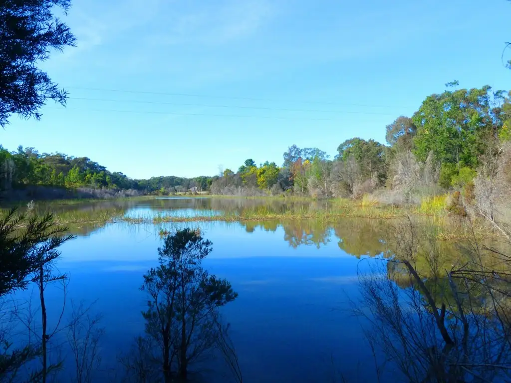 Main view of Homely rural property listing, Address available on request