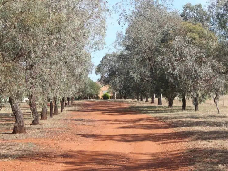 Second view of Homely rural property listing, 714 Quia Road, Gunnedah NSW 2380