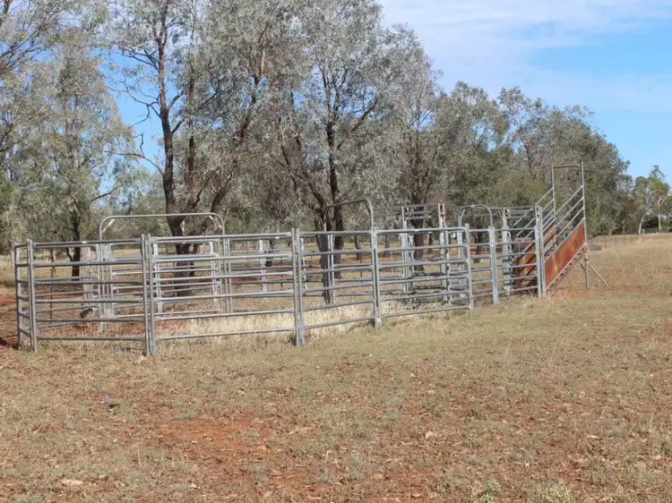 Fourth view of Homely rural property listing, 714 Quia Road, Gunnedah NSW 2380