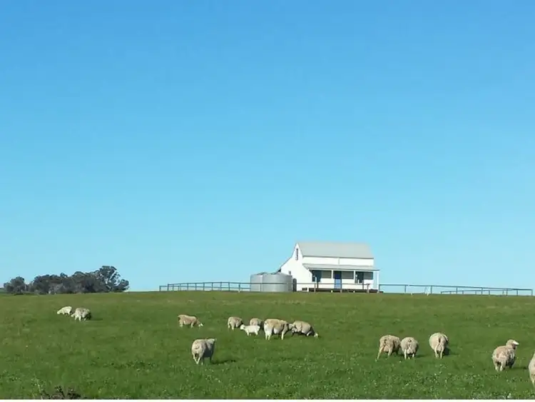 Main view of Homely rural property listing, 751 Mia Mia-Derrinal Road, Derrinal VIC 3523
