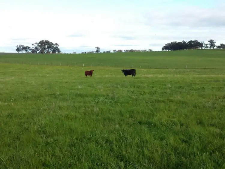 Sixth view of Homely rural property listing, 751 Mia Mia-Derrinal Road, Derrinal VIC 3523