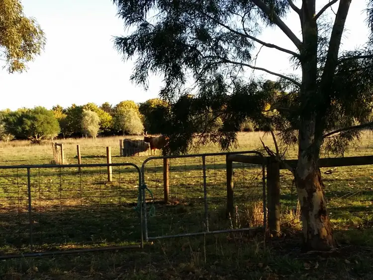 Fifth view of Homely rural property listing, 55 Boundary Road, Gordon VIC 3345
