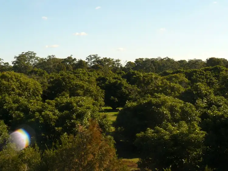 Second view of Homely rural property listing, 90 Brennan Road, Hampton QLD 4352