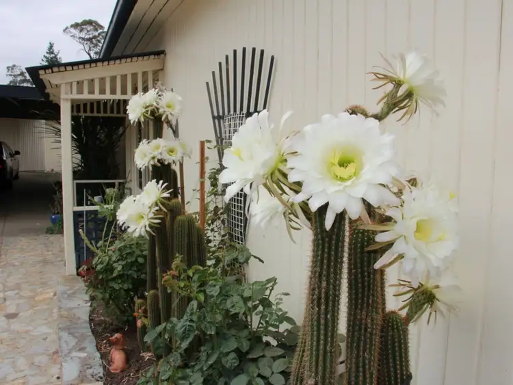 Third view of Homely house listing, 6 Camp Hill Road, Beaufort VIC 3373