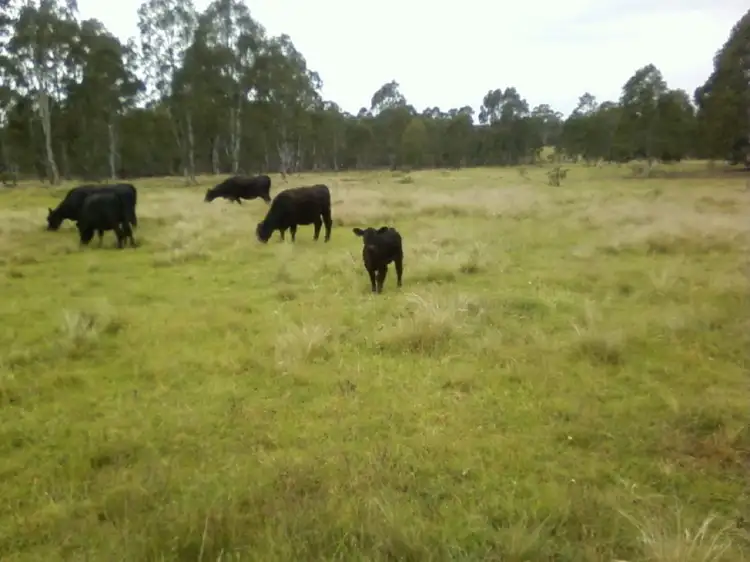 Main view of Homely rural property listing, 763 Jerrara Road, Marulan NSW 2579