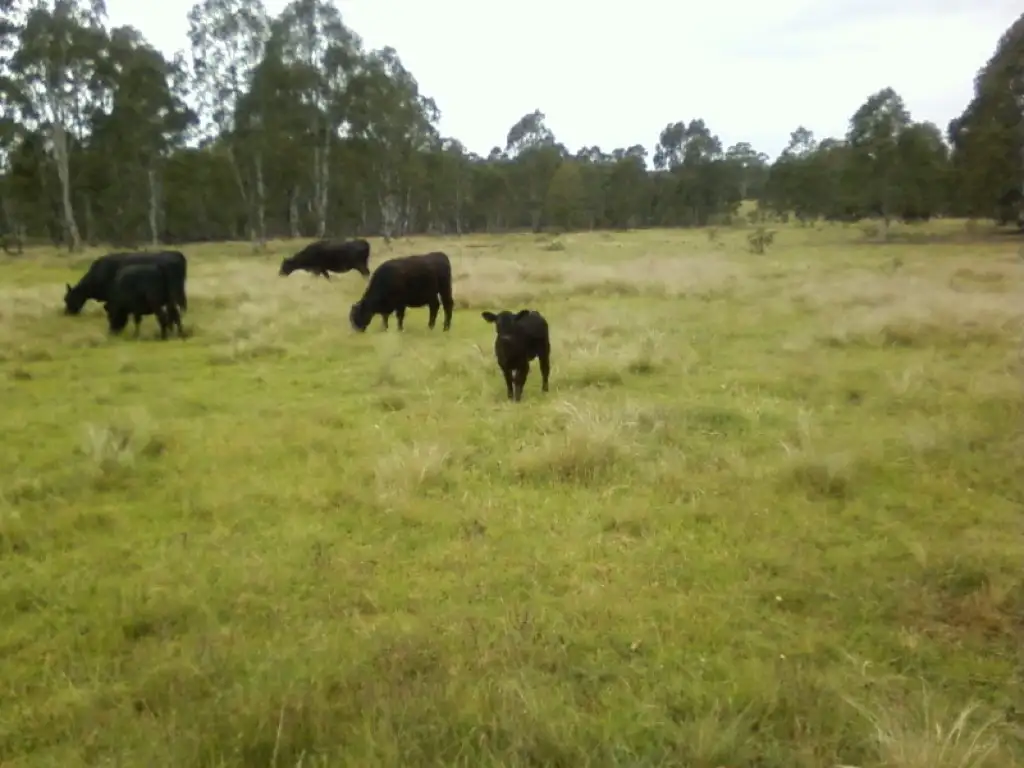 Main view of Homely rural property listing, 763 Jerrara Road, Marulan NSW 2579
