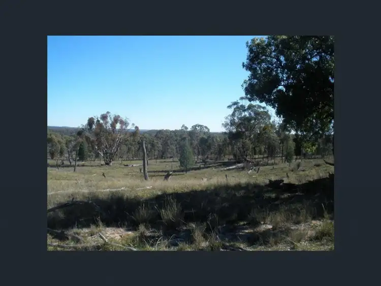 Second view of Homely rural property listing, 5442 Warrumbungles Way, Binnaway NSW 2395