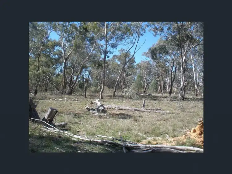 Fifth view of Homely rural property listing, 5442 Warrumbungles Way, Binnaway NSW 2395