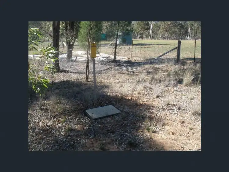 Seventh view of Homely rural property listing, 5442 Warrumbungles Way, Binnaway NSW 2395