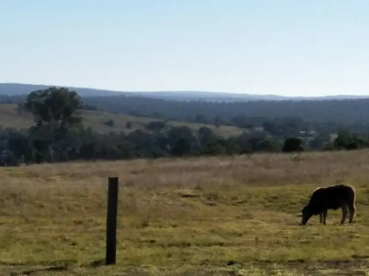 Fourth view of Homely rural property listing, 43 Coolabunia Road, Coolabunia QLD 4610