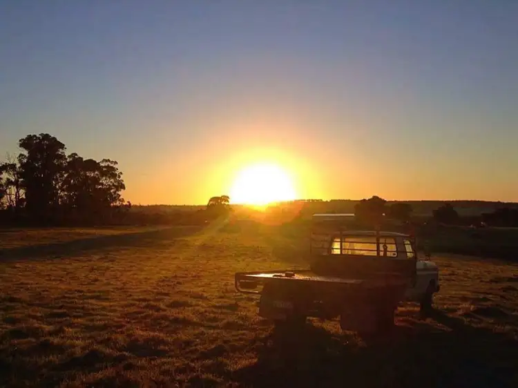 Main view of Homely rural property listing, 192 Talbot Hall Road, Talbot WA 6302