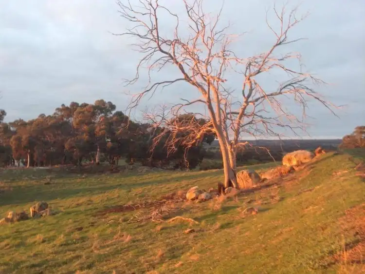 Second view of Homely rural property listing, 192 Talbot Hall Road, Talbot WA 6302
