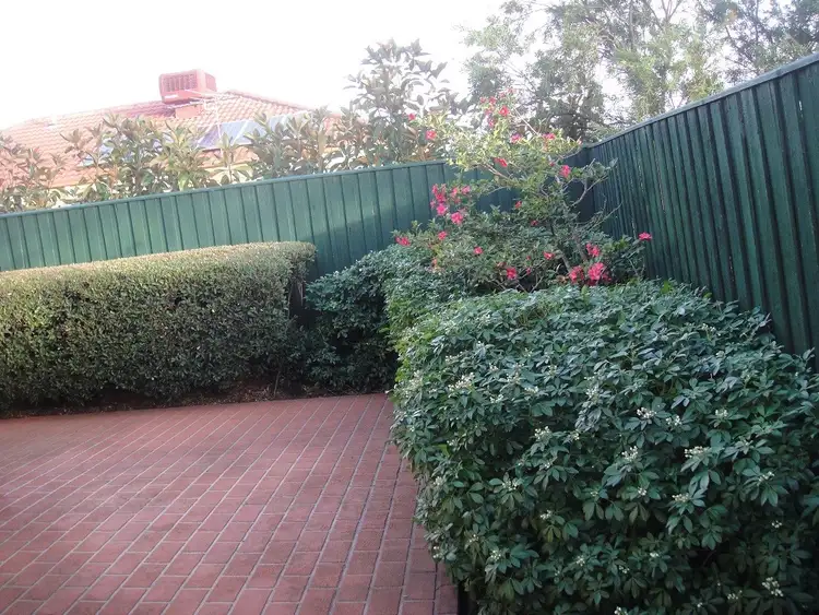 Fifth view of Homely townhouse listing, 3 Peppermint Grove, Box Hill South VIC 3128