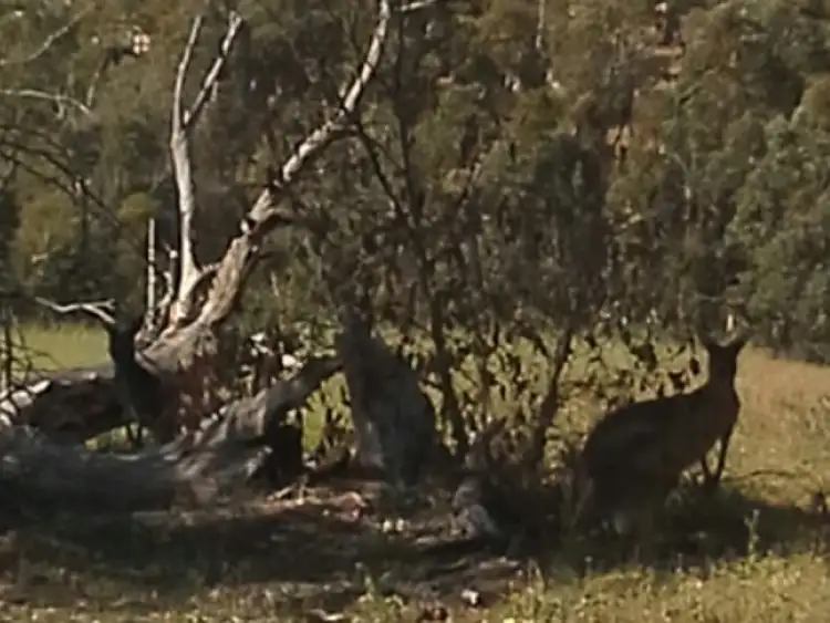 Seventh view of Homely land listing, 47 Pelican Rise, Chittering WA 6084