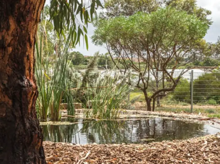 Fourth view of Homely house listing, 117 Murray Drive, Murray Bridge SA 5253