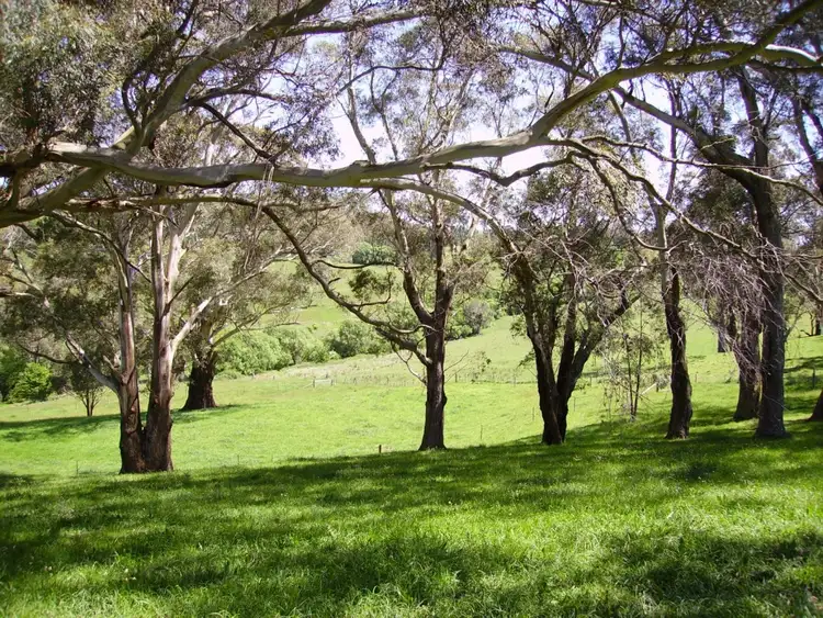 Second view of Homely rural property listing, 94 Rockleigh Road, Exeter NSW 2579