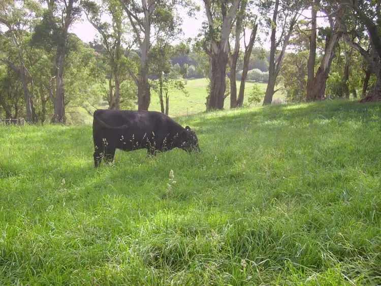 Seventh view of Homely rural property listing, 94 Rockleigh Road, Exeter NSW 2579