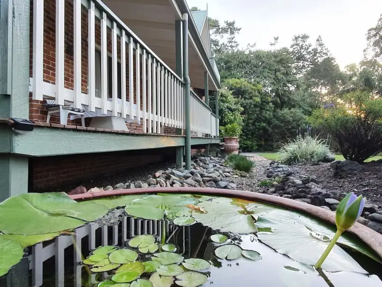 Fourth view of Homely house listing, 62 Tallowwood Place, Black Mountain QLD 4563