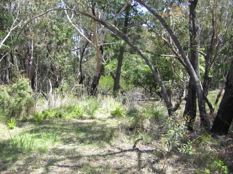 Lot 40 Wattamolla Road, Helensburgh NSW 2508