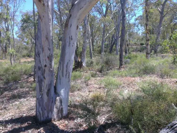 Second view of Homely land listing, 325 Coondle West Road, Coondle WA 6566