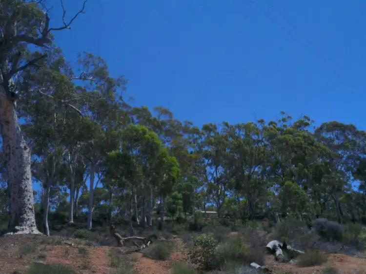 Fifth view of Homely land listing, 325 Coondle West Road, Coondle WA 6566