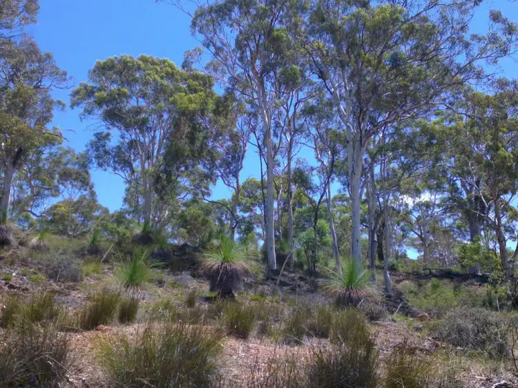 Sixth view of Homely land listing, 325 Coondle West Road, Coondle WA 6566