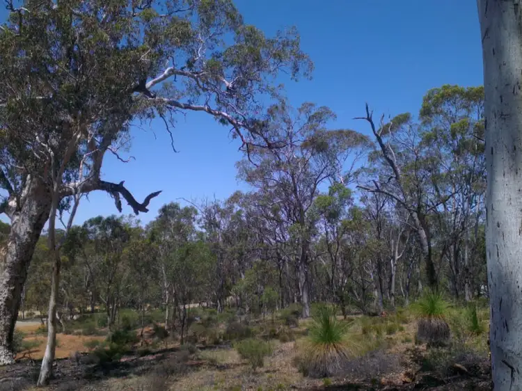 Seventh view of Homely land listing, 325 Coondle West Road, Coondle WA 6566
