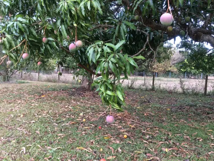 Third view of Homely land listing, Lot 312 Wilkinson Street, Kewarra Beach QLD 4879