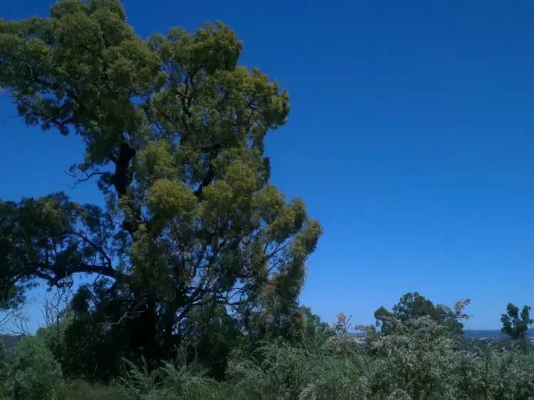 55 Drummondi Drive, Toodyay WA 6566