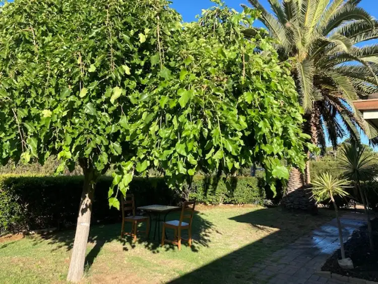 Fourth view of Homely house listing, 21 Conidae Drive, Heathridge WA 6027