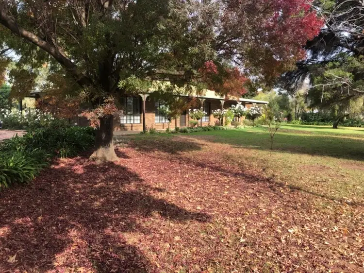 28-30 Catalpa Road, Leeton NSW 2705