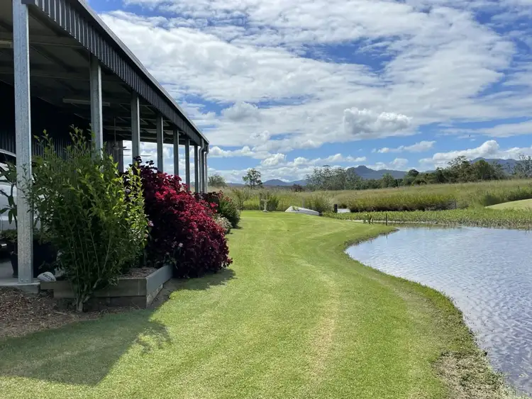 Sixth view of Homely rural property listing, 49 Tyrie Lane, Upper Lansdowne NSW 2430
