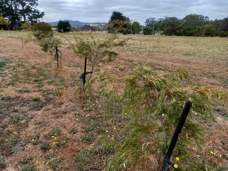 Main view of Homely land listing, 4 Bartlett Close, Mount Barker WA 6324