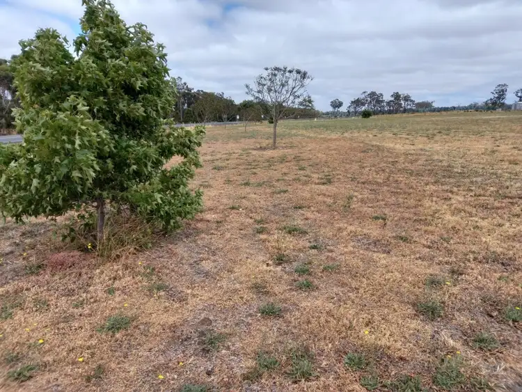 Third view of Homely land listing, 4 Bartlett Close, Mount Barker WA 6324