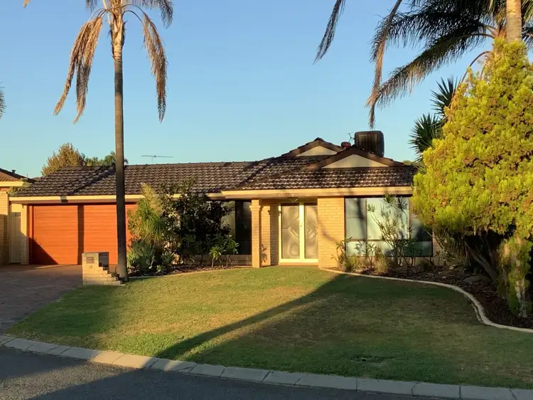 Main view of Homely house listing, 16 Blair Grove, Kinross WA 6028