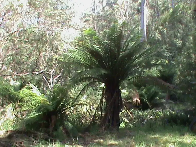 Sixth view of Homely rural property listing, 1084 Pelverata Road, Pelverata TAS 7150