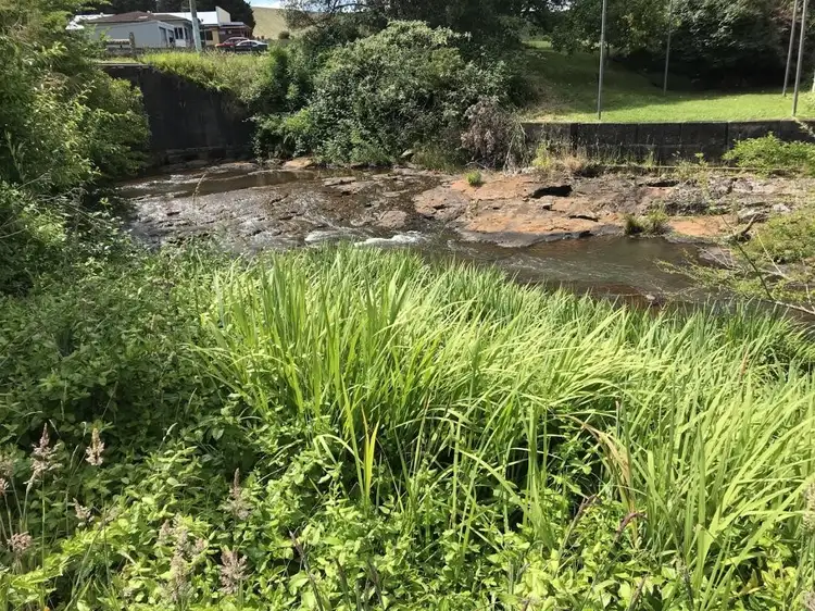 Main view of Homely land listing, 44 Main Street, Comboyne NSW 2429