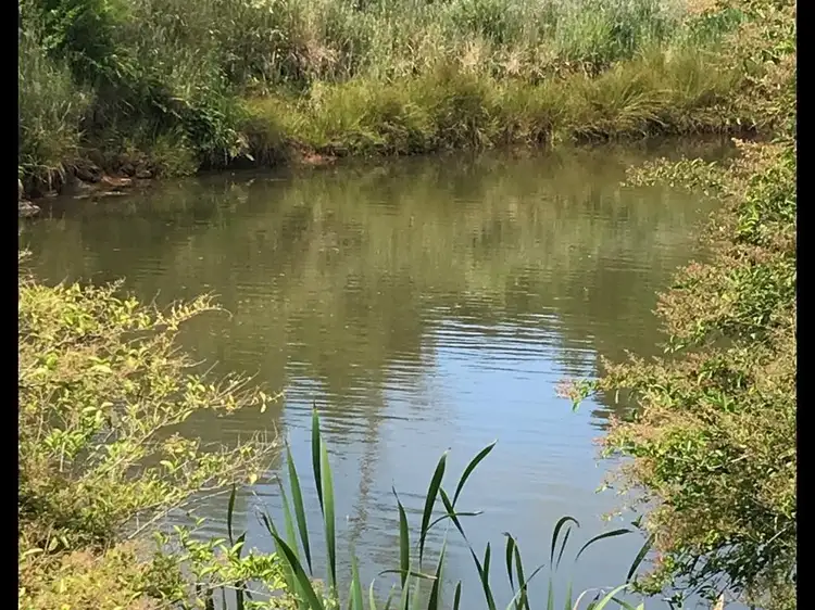 Fifth view of Homely land listing, 44 Main Street, Comboyne NSW 2429
