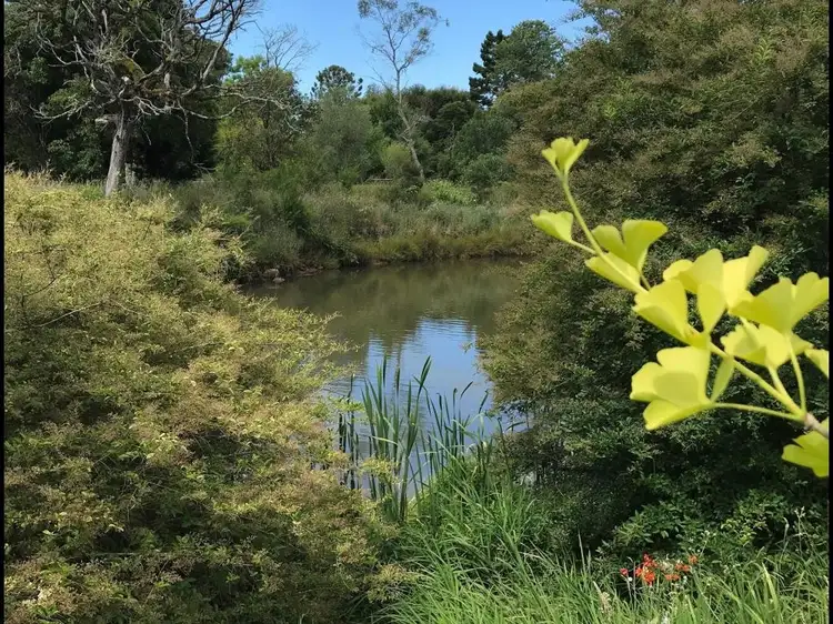 Sixth view of Homely land listing, 44 Main Street, Comboyne NSW 2429