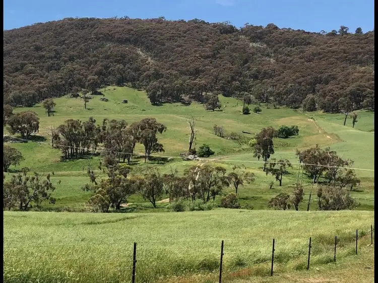 490 Courabyra Road, Courabyra NSW 2653