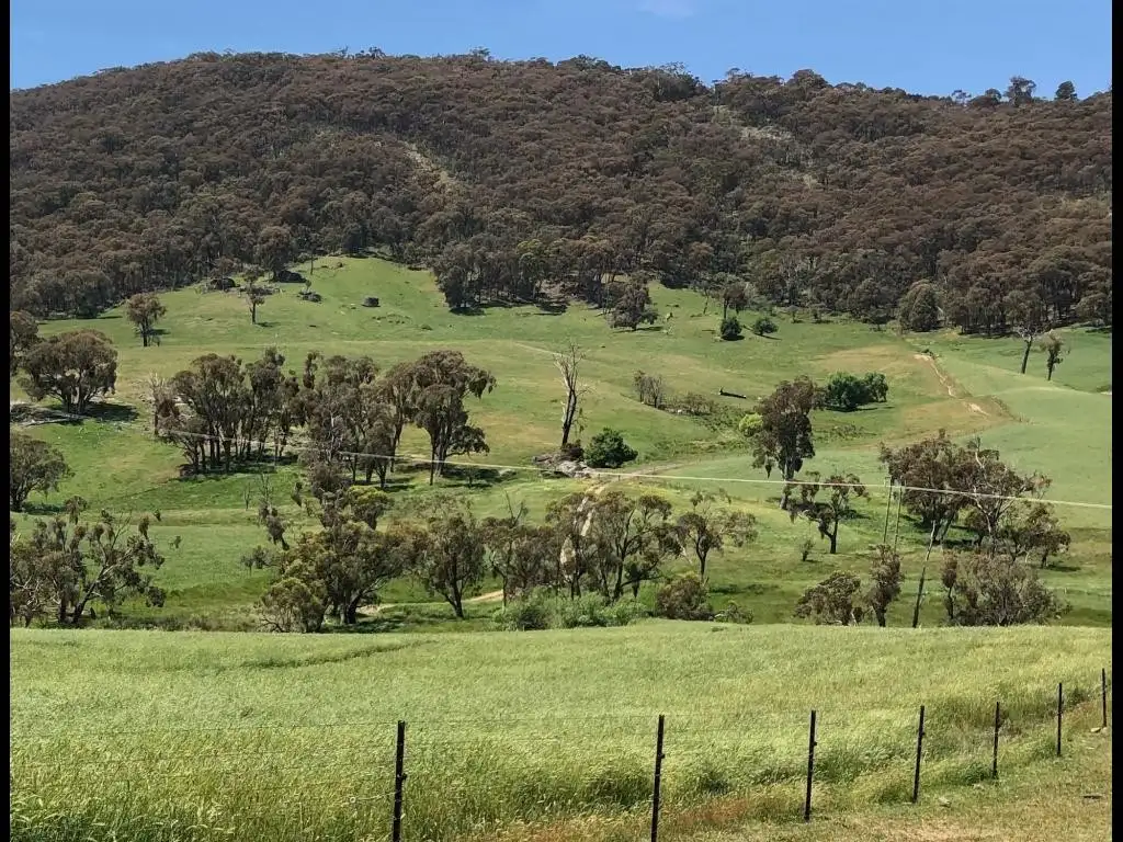 Main view of Homely rural property listing, 490 Courabyra Road, Courabyra NSW 2653