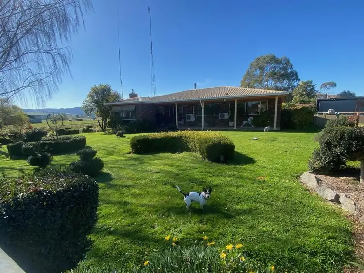 Fourth view of Homely rural property listing, 490 Courabyra Road, Courabyra NSW 2653