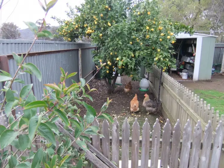 Seventh view of Homely house listing, 67 Weir Street, Euroa VIC 3666