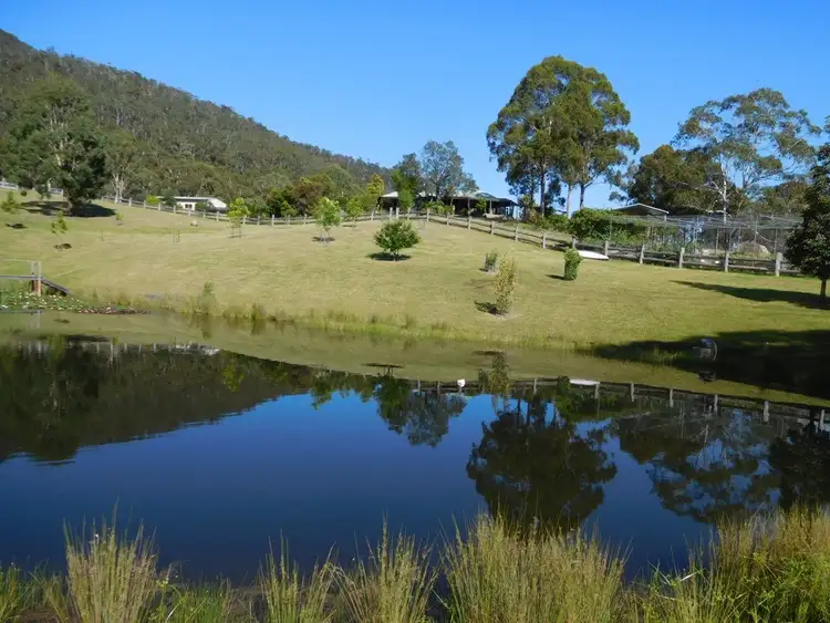 Third view of Homely rural property listing, 'Miltana'/1697 Big Jack Mountain Road, Rocky Hall NSW 2550