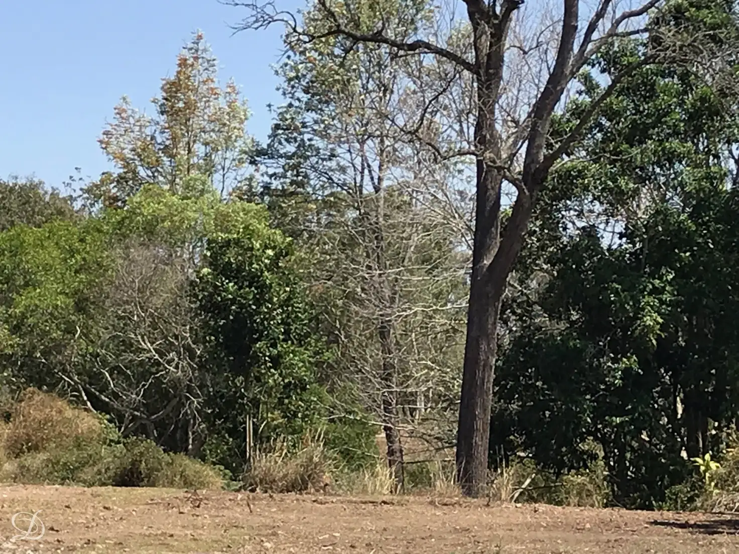 Main view of Homely land listing, 40 Burwood Road, Everton Park QLD 4053