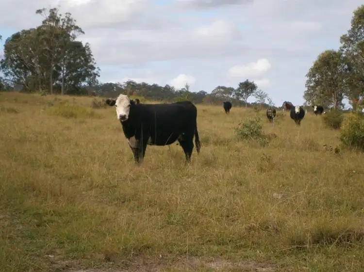 Third view of Homely land listing, Address available on request