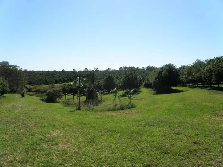 Fifth view of Homely rural property listing, 1172 Bulmers Rd, Hogarth Range NSW 2469